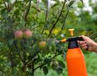Postřik jablek pesticidy.