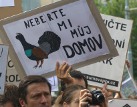 Prezidentský kandidát, někdejší premiér i pět bývalých ministrů životního prostředí žádá senátory: Vraťte lidem práva!