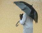 90 českých a moravských měst a obcí podporuje ochranu klimatu. Podpoří ji finálně i poslanci?