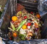 Fenomén zero waste se u nás slibně rozvíjí