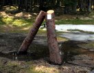 Lesy ČR chtějí dál stříkat jedovaté pesticidy v Národní přírodní rezervaci Černé a Čertovo jezero