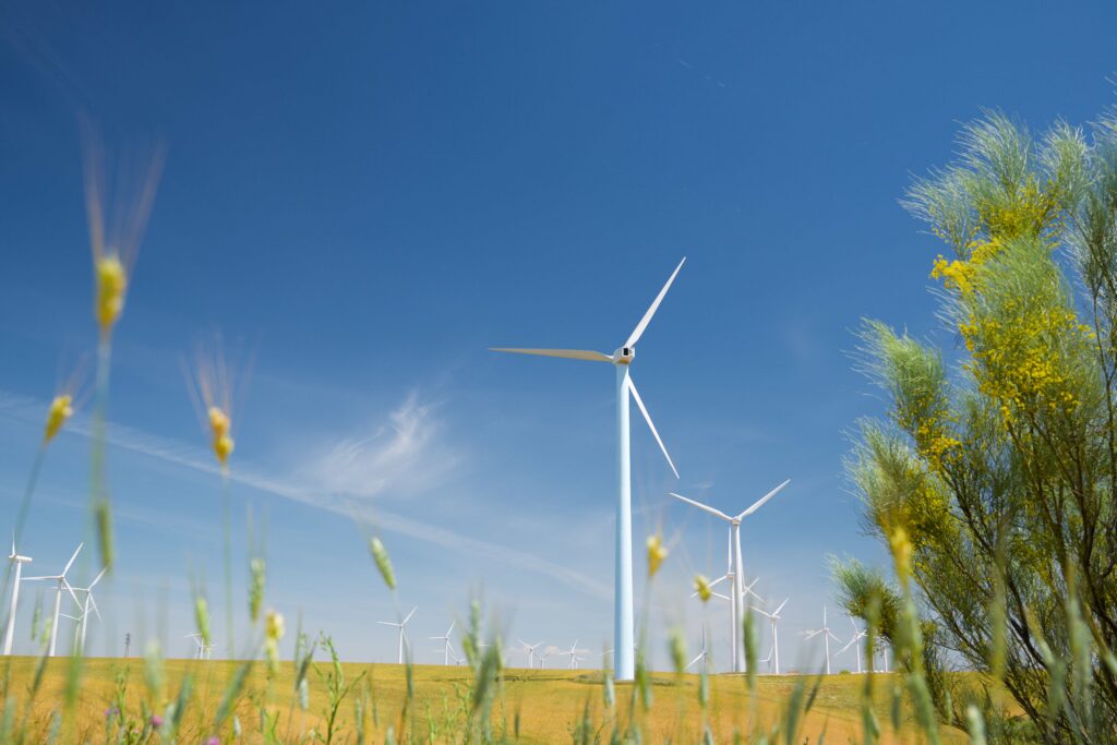 Závěrečná zpráva z výzkumu FOCUS – Úspory energií a ekologie 2026